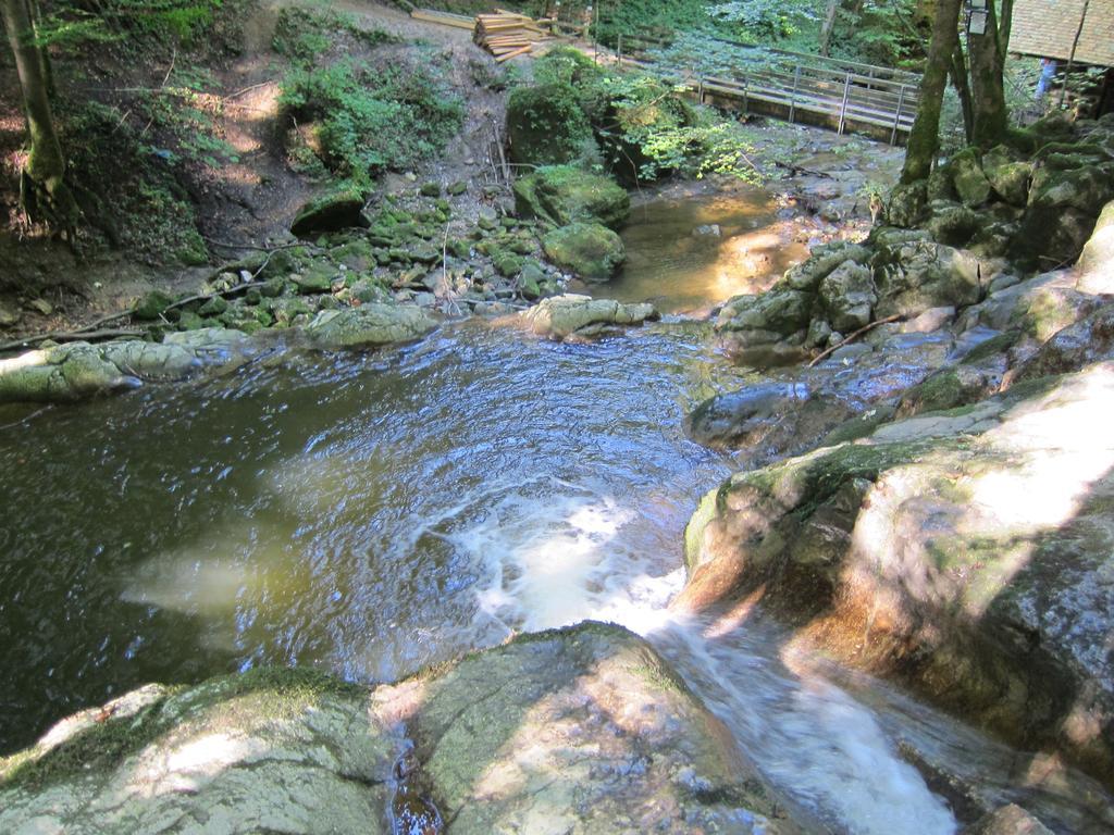 Baby- Und Kinderhof Aicherbauer Seeham Extérieur photo
