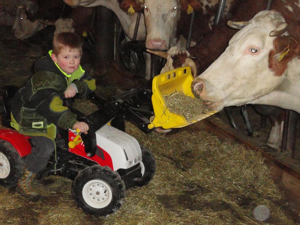 Baby- Und Kinderhof Aicherbauer Seeham Extérieur photo