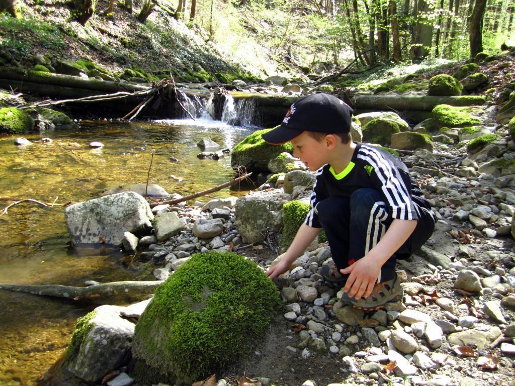 Baby- Und Kinderhof Aicherbauer Seeham Extérieur photo