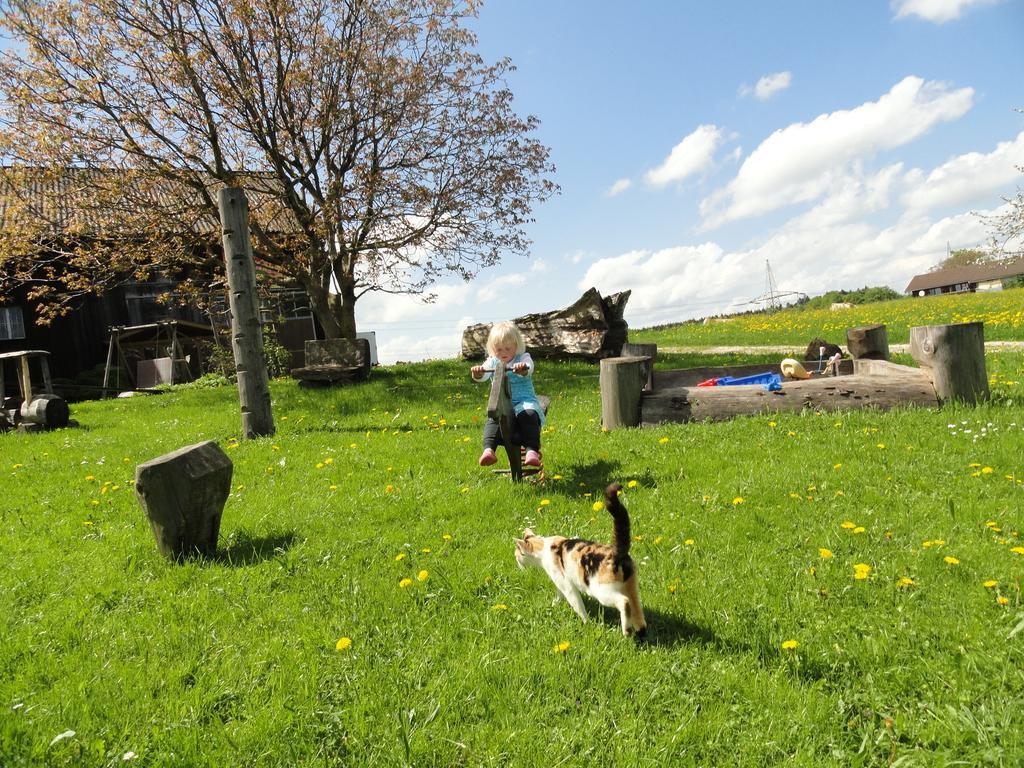 Baby- Und Kinderhof Aicherbauer Seeham Extérieur photo