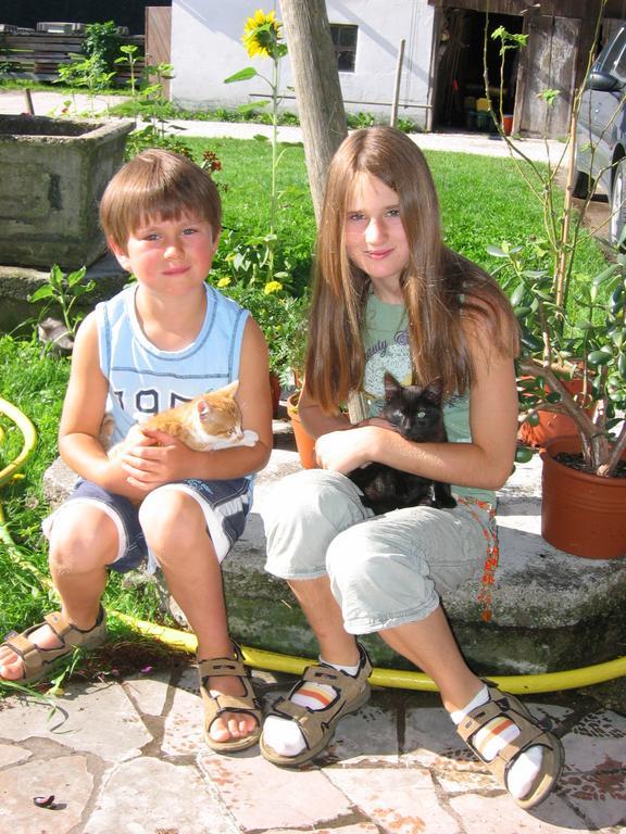 Baby- Und Kinderhof Aicherbauer Seeham Extérieur photo